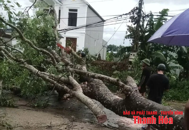 [Cập nhật] - Mưa dông khiến nhiều nhà dân tốc mái, công sở hư hỏng
