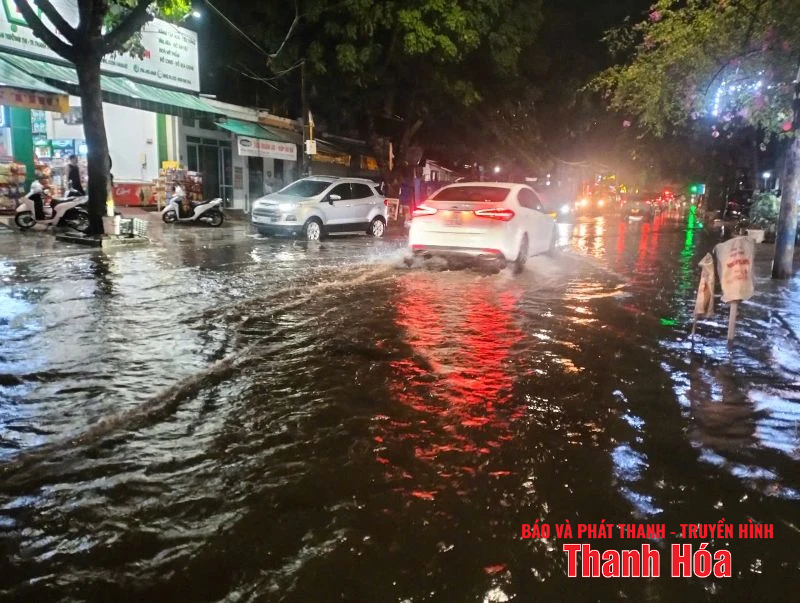 m88 link mới nhất, cây gãy, ách tắc giao thông tại ngã tư Đại lộ Lê Lợi