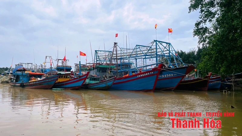 Thanh Hóa đã kêu gọi được 5.755 tàu thuyền về nơi tránh trú an toàn