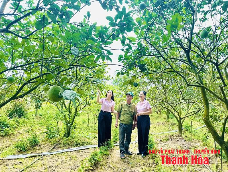 Kịp thời giải ngân nguồn vốn tín dụng ưu đãi cho hộ nghèo và các đối tượng m88 link mới nhất