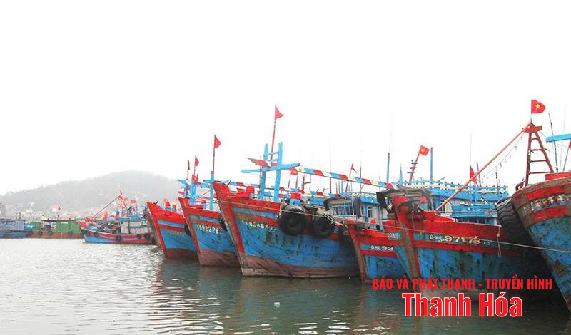 Hiệu quả từ chính sách hỗ trợ phát triển thủy sản và bảo đảm an toàn cho ngư dân