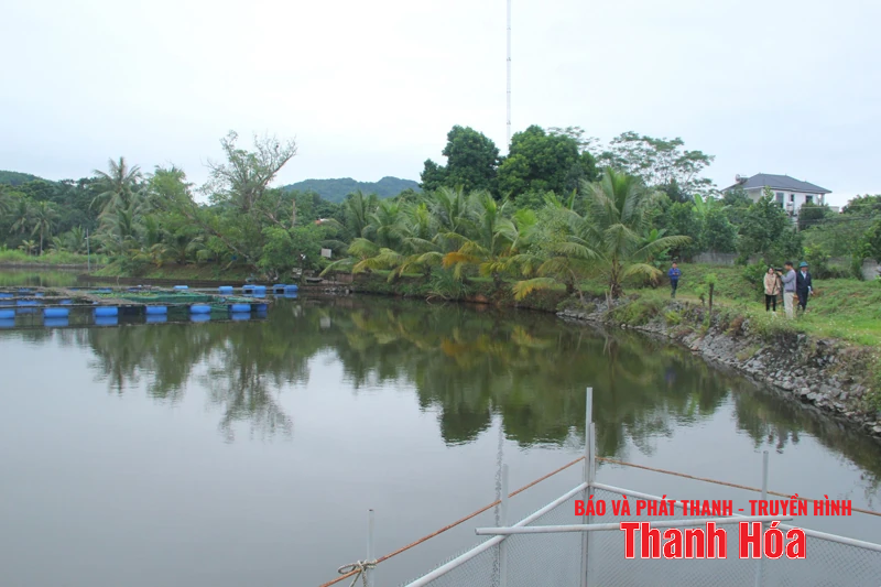 Từ cơ chế, chính sách đến sự đồng thuận