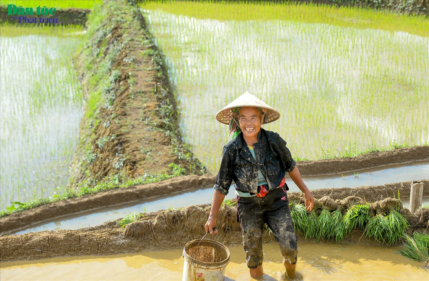 [E-Magazine]: Nhớ những nồng say giữa núi rừng xanh tươi