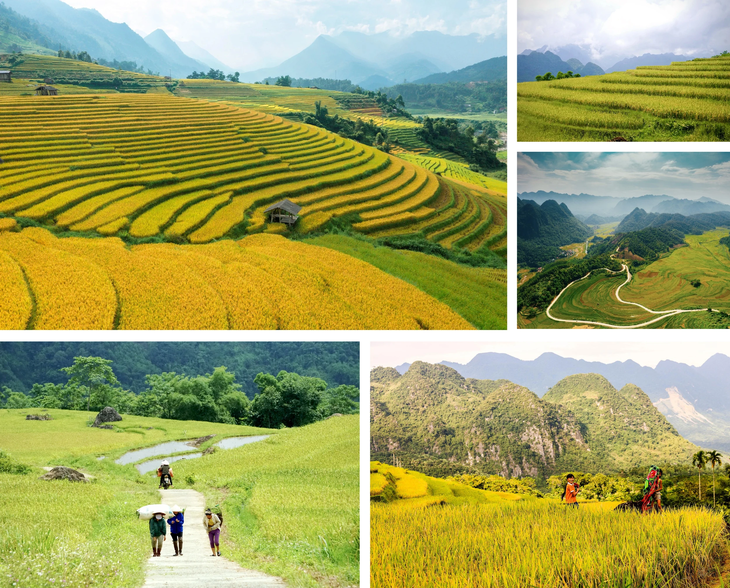 [E-Magazine]: Nhớ những nồng say giữa núi rừng xanh tươi