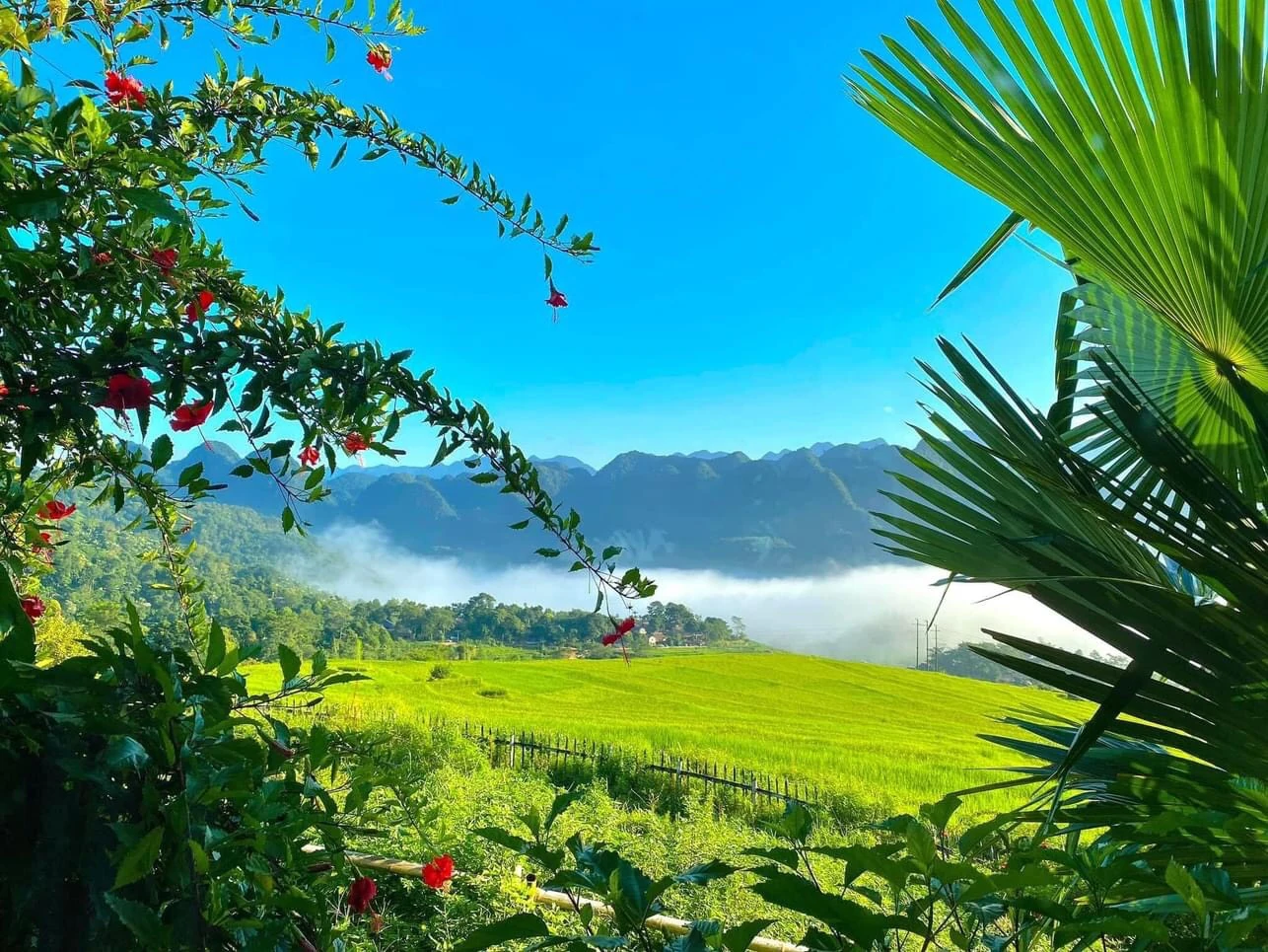 [E-Magazine]: Nhớ những nồng say giữa núi rừng xanh tươi