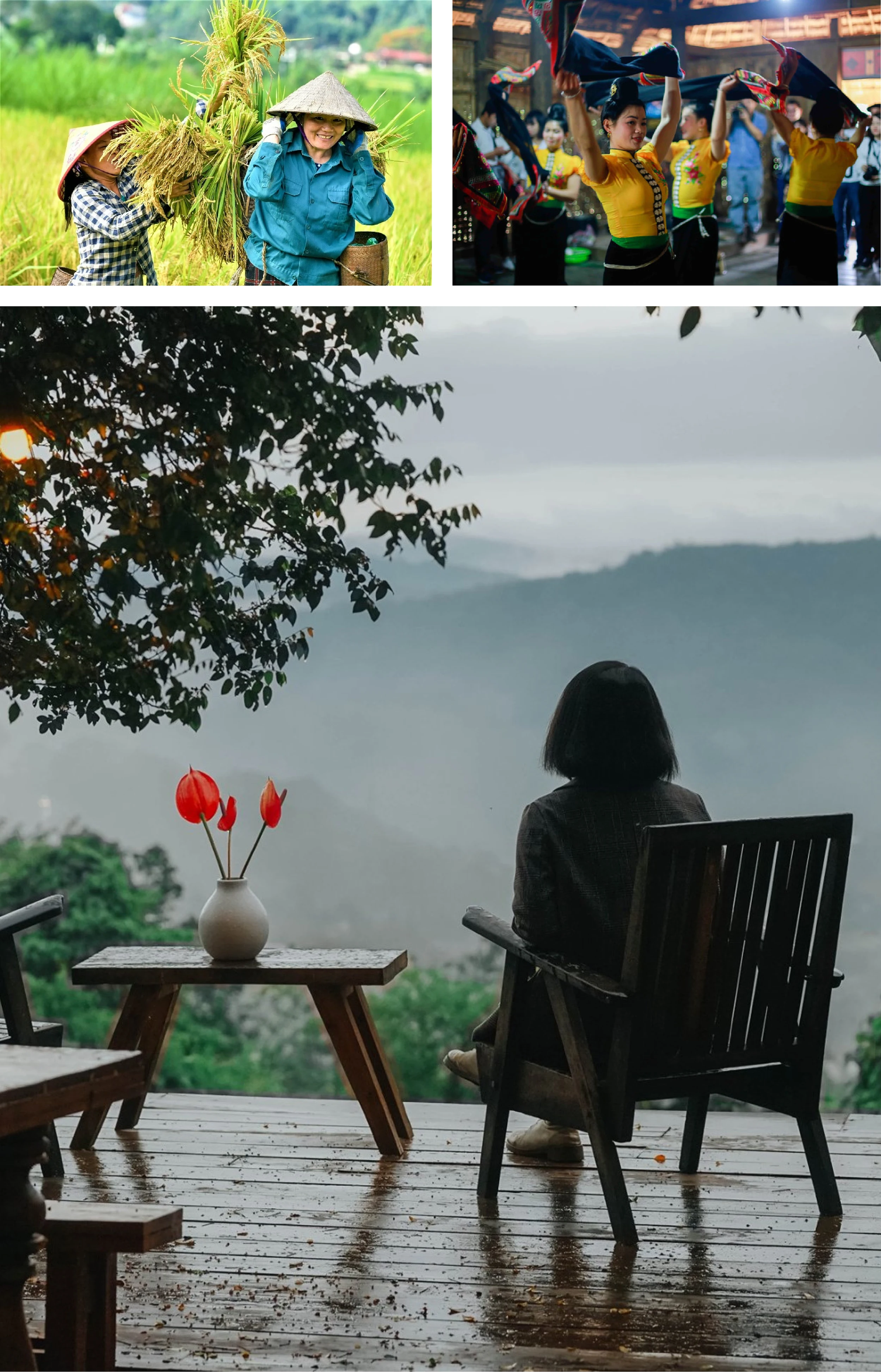 [E-Magazine]: Nhớ những nồng say giữa núi rừng xanh tươi