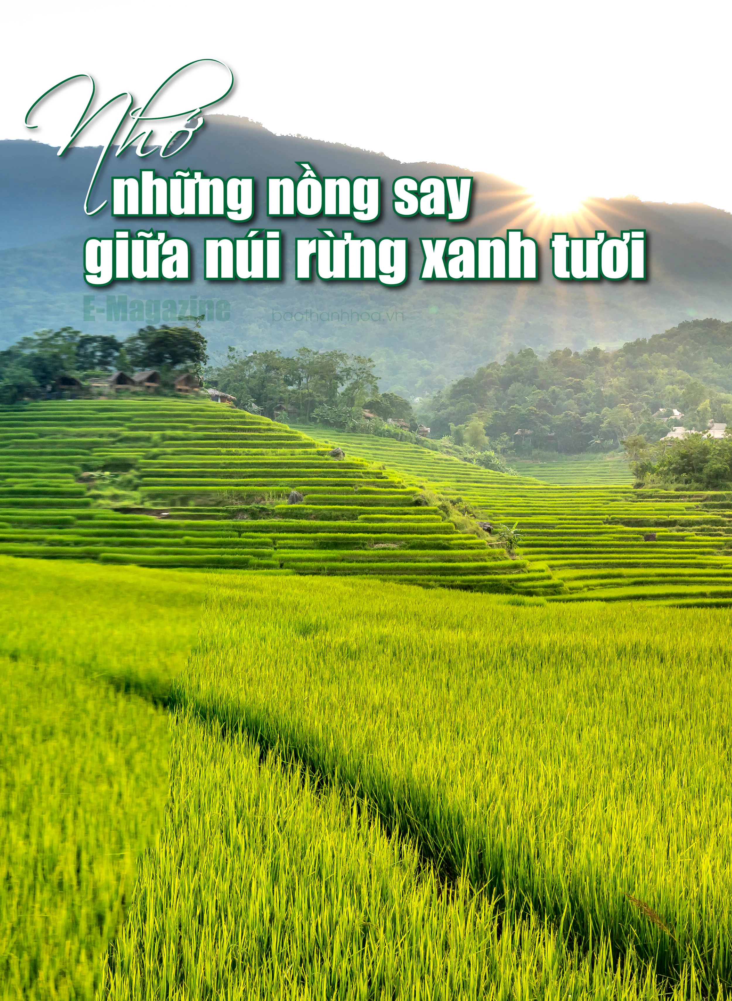 [E-Magazine]: Nhớ những nồng say giữa núi rừng xanh tươi
