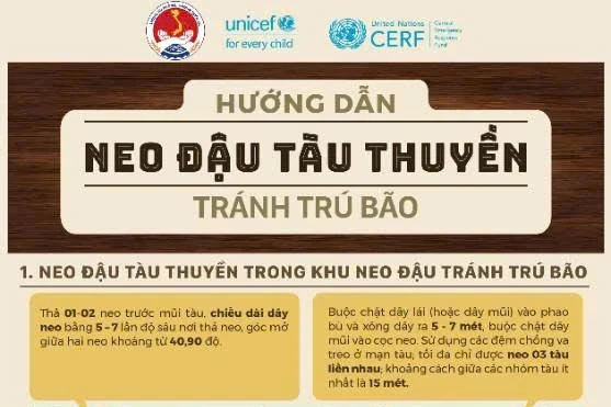 Tuân thủ 11 khuyến cáo để đảm bảo cá cược bóng đá m88 trước, trong và sau bão
