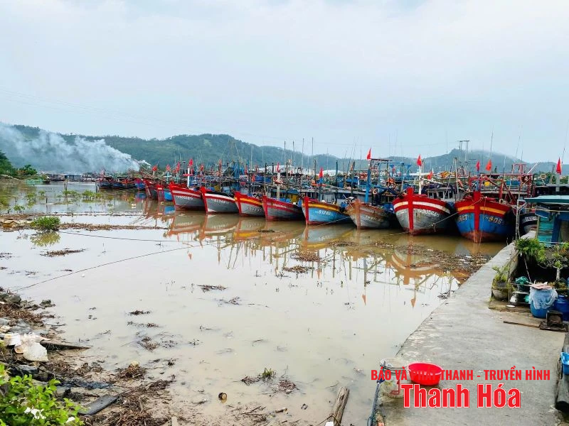 Đoàn viên thanh niên Công an tỉnh hỗ trợ ngư dân đưa tàu vào nơi tránh trú