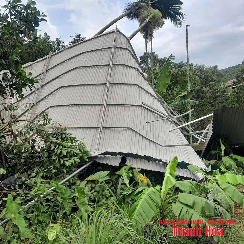 Khẩn trương hỗ trợ người dân có nơi tránh trú an toàn trong cơn bão số 3