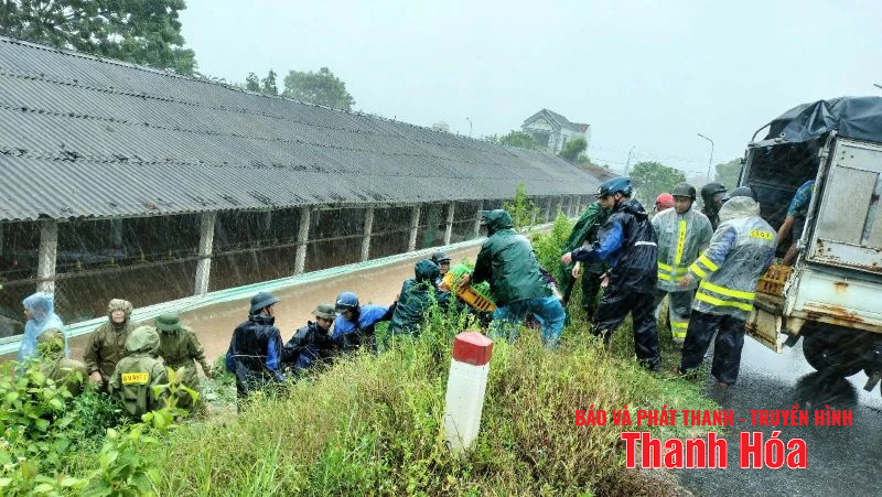 Các địa phương vùng biển Bắc Thanh Hóa: Linh hoạt tiêu úng, bảo vệ sản xuất sau khi bão đổ bộ