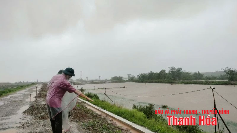 Chủ động, linh hoạt giảm thiểu thiệt hại do đăng ký m88 3 gây ra