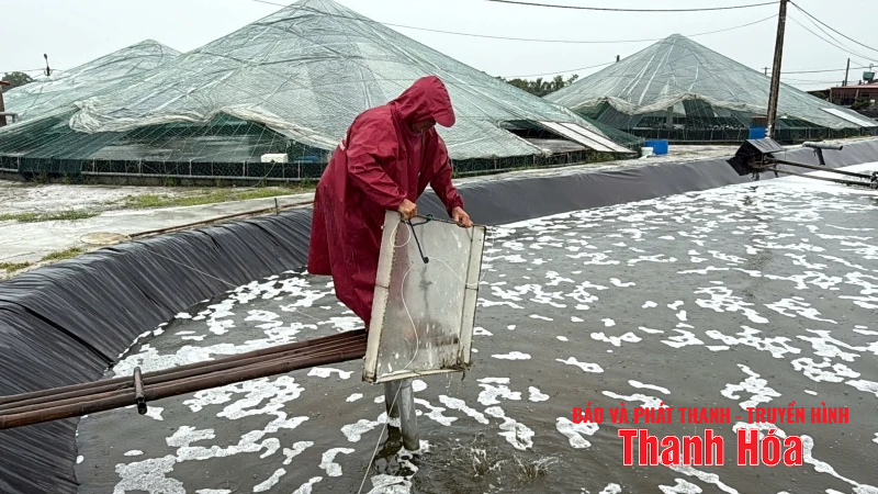 Người nhà cái m88 thuỷ sản chủ động ứng phó với mưa, bão