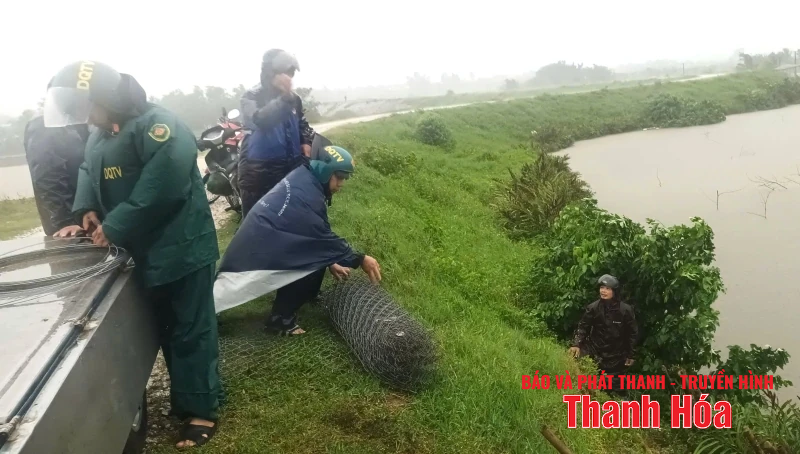 Xử lý sạt trượt mái đê cống Đồng Đền 2 tại xã Hoằng Châu