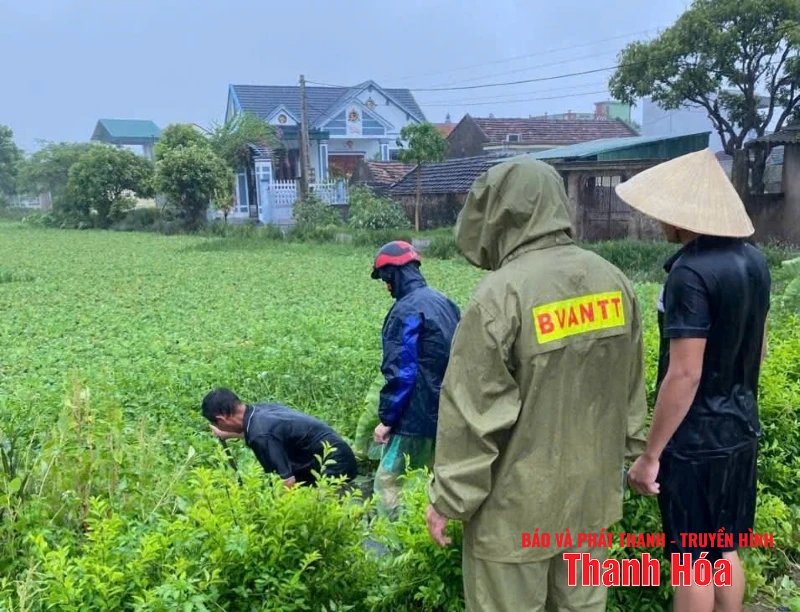 [Cập nhật] - Các địa phương, đơn vị linh hoạt giải pháp ứng phó bão số 3