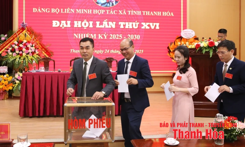 Xây dựng Liên minh HTX tỉnh tiếp tục là một trong những đơn vị tiên tiến trong khu vực kinh tế tập thể