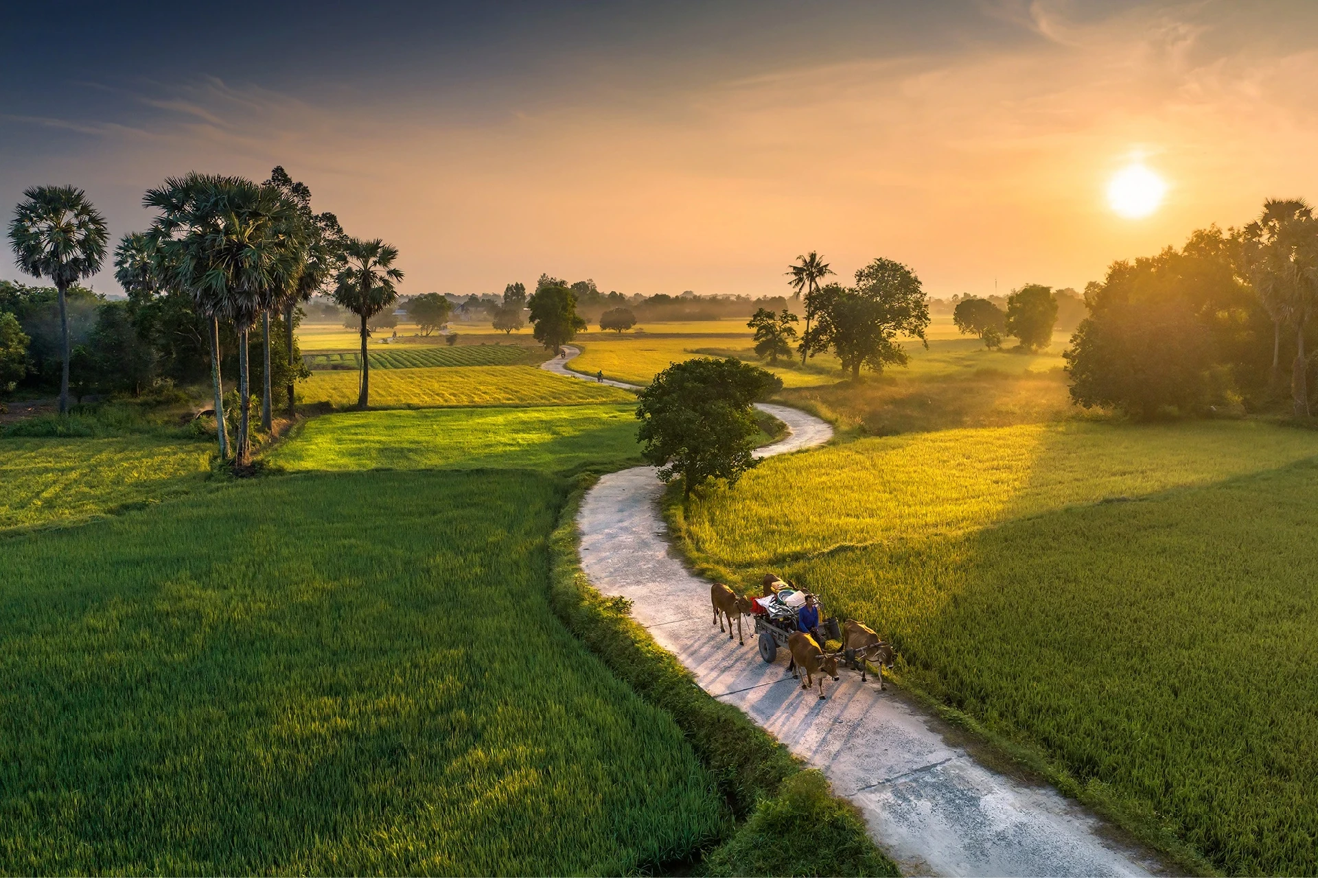 [E-Magazine]: Hoàng hôn như cũng hát điều vân vi