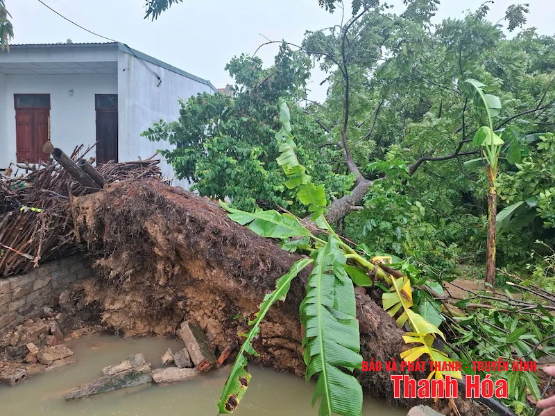 Các địa phương, đơn vị linh hoạt giải pháp ứng phó bão số 3