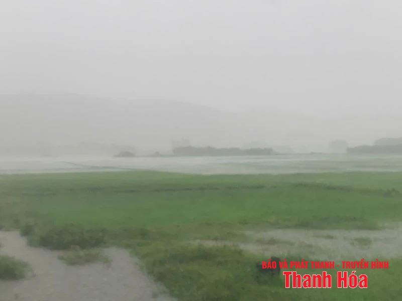 [Cập nhật] - Các địa phương, đơn vị linh hoạt giải pháp ứng phó bão số 3