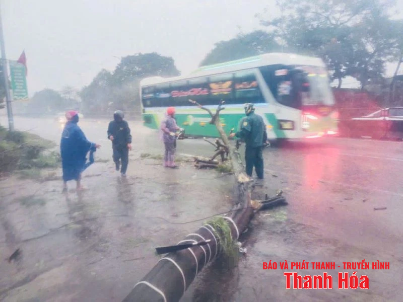 m88 link mới nhất niên xung kích hỗ trợ người dân phòng chống bão số 3