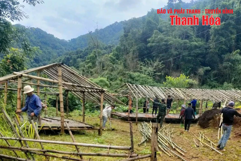 Nguy cơ cá cược bóng đá m88 lở cao, xã biên giới Na Mèo dựng lán tạm, sẵn sàng di dân
