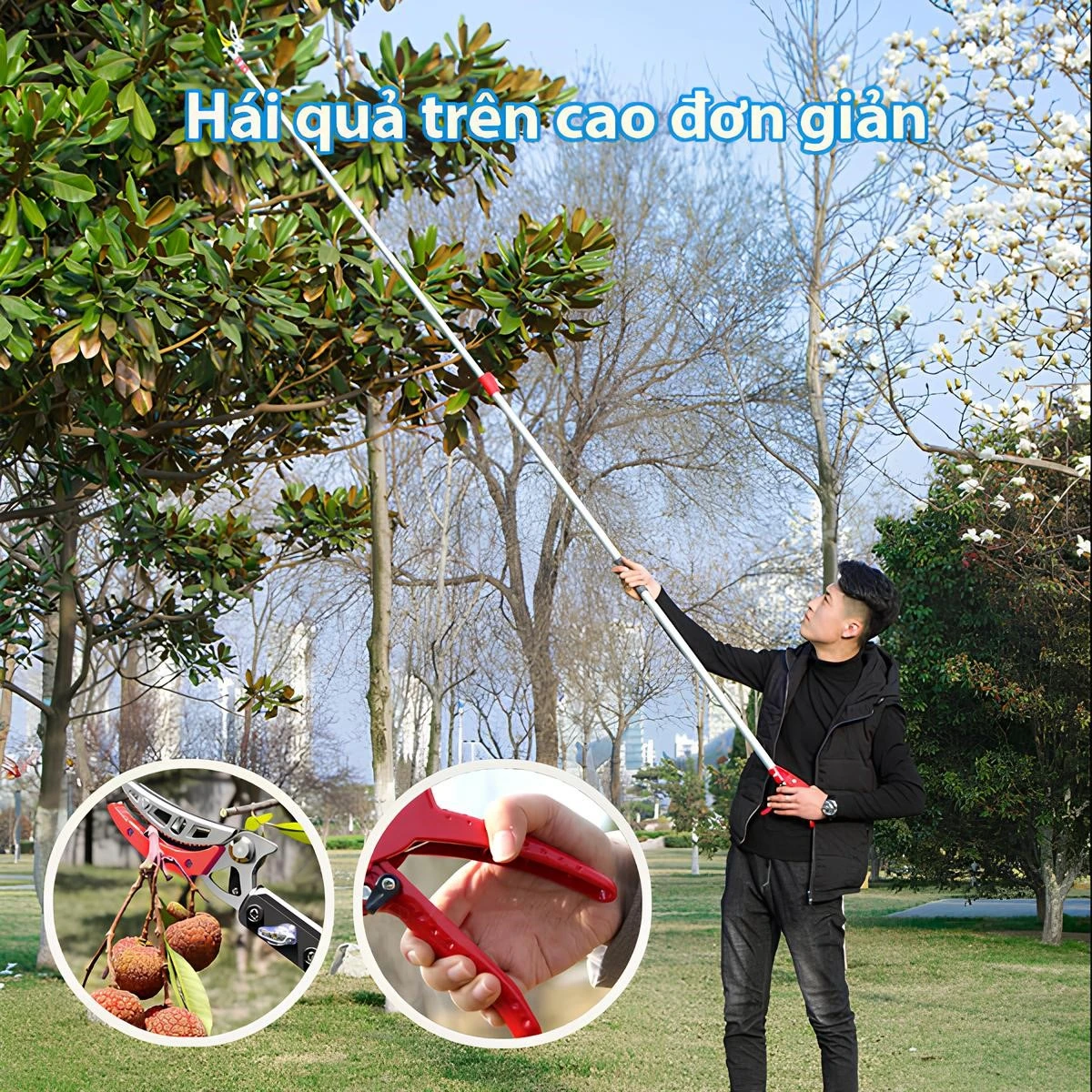 Cửa hàng kéo cắt cành Nhật Bản giá rẻ, chất lượng
