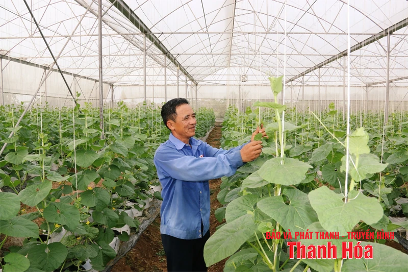 Thiệu Tiến khát vọng phát triển toàn diện, bền vững trong nhiệm kỳ mới