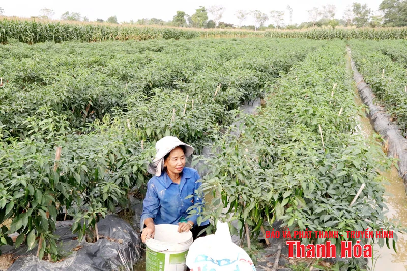 Tư duy sáng tạo, khát vọng vươn lên, hành động quyết liệt xây dựng xã NTM nâng cao