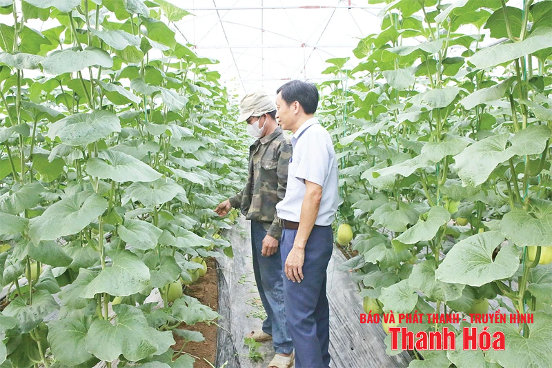 Đoàn kết, trách nhiệm, sáng tạo, xây dựng Hồ Vương thành xã NTM nâng cao trước năm 2030