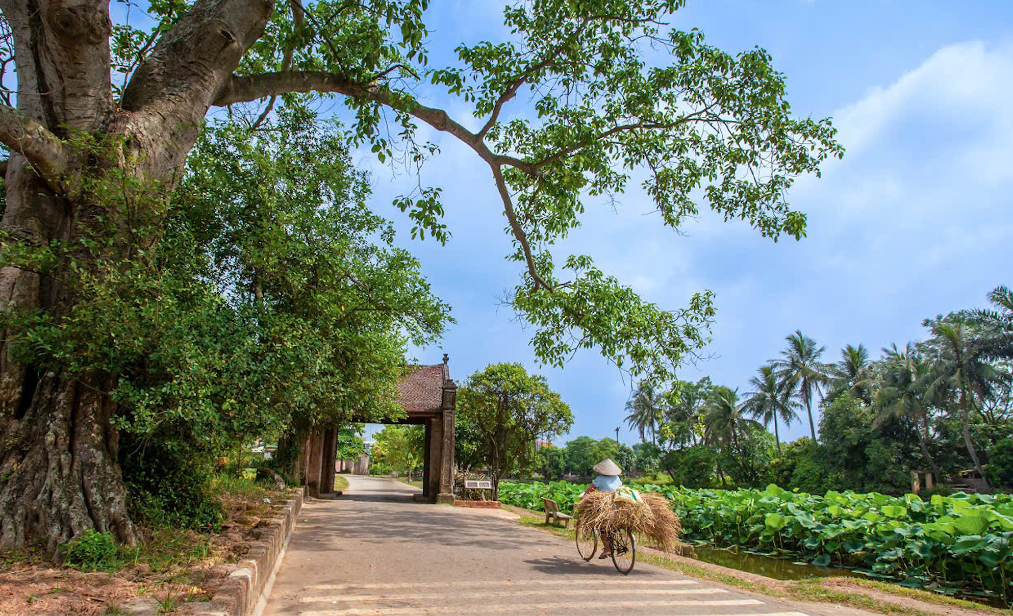 [E-Magazine]: Nhớ quên màu nắng