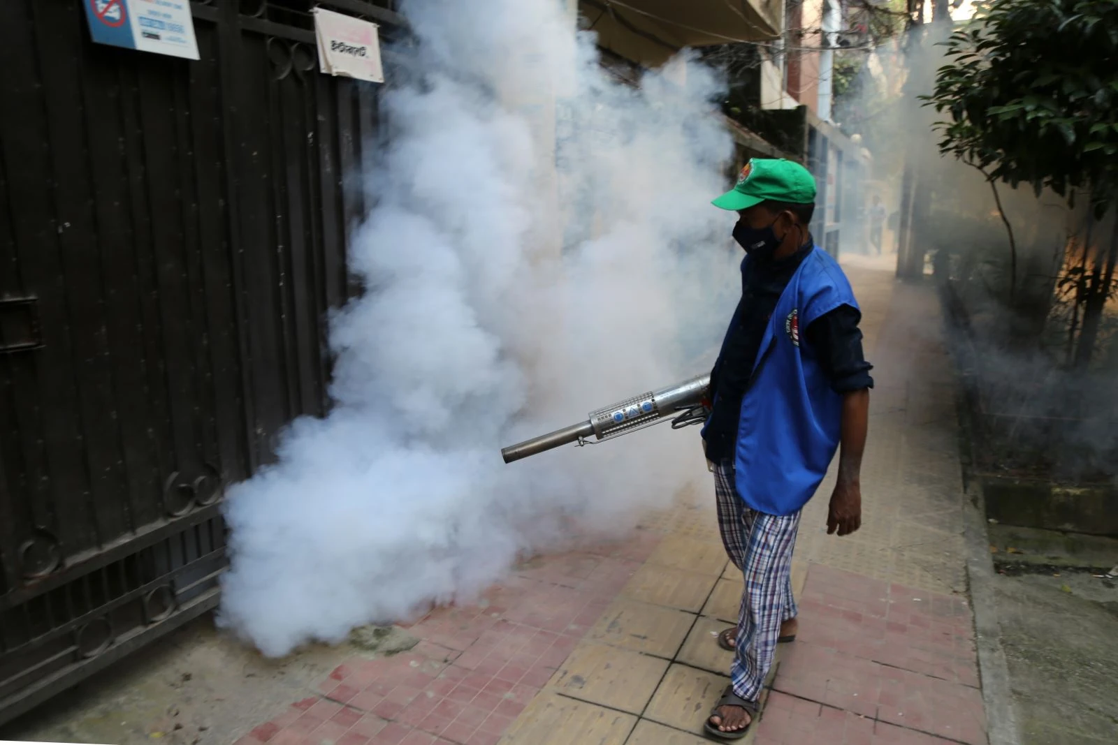 Những điều cần biết về chikungunya: Bệnh do muỗi truyền đang lan rộng toàn cầu