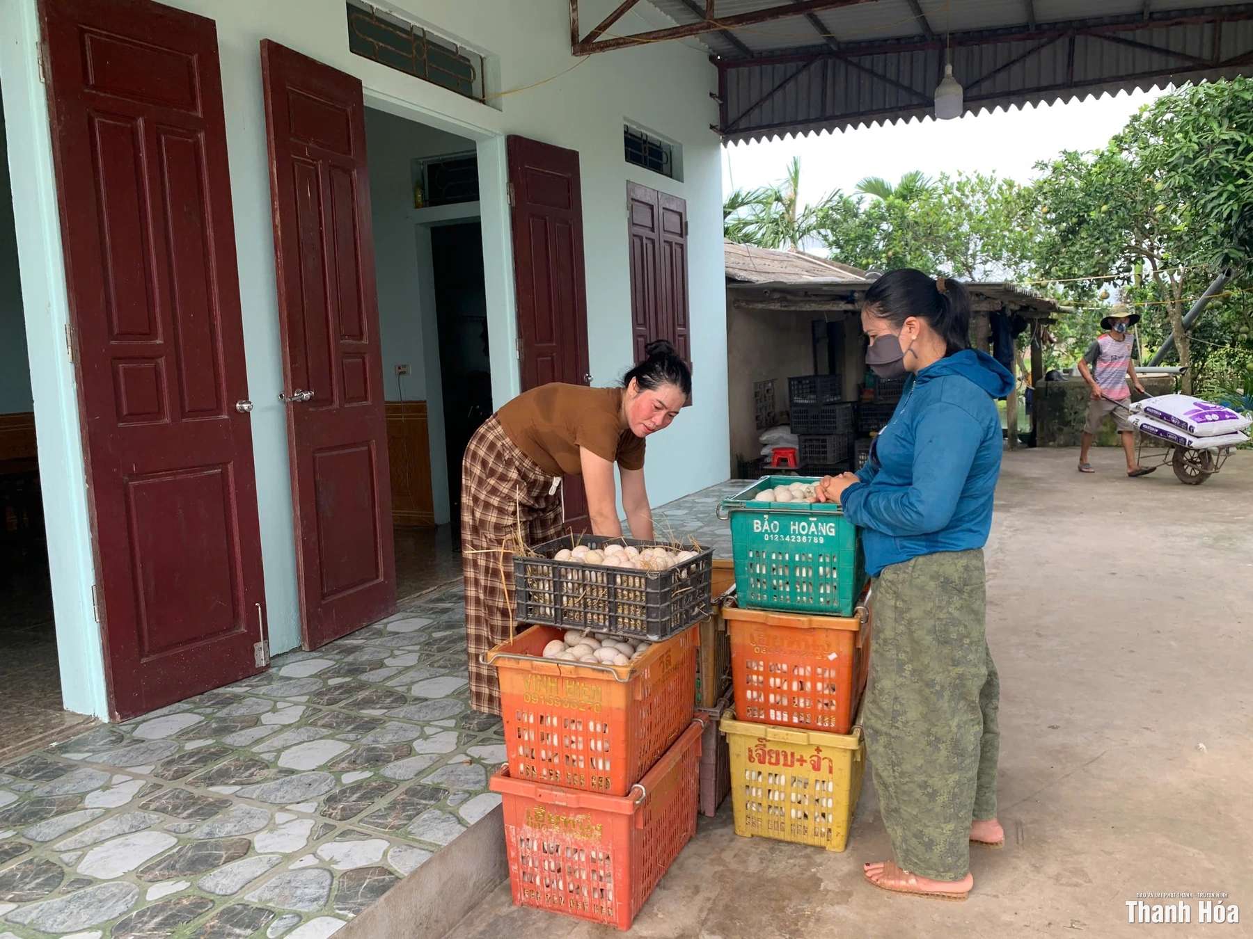 “Vua vịt” ở Tân Tiến