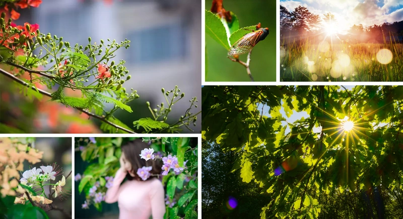 [E - Magazine] - Khúc hát đời nhà cái m88