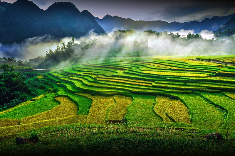 Đảng bộ Sở Văn link đăng nhập m88, Thể thao và Du lịch Thanh Hoá - Dấu ấn nhiệm kỳ