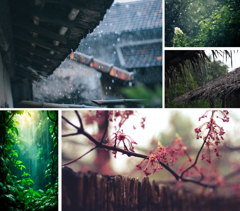 [E-Magazine]: m m88 hạ