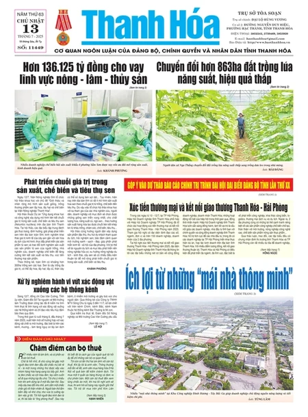 Số 11449 - Chủ nhật, ngày 13/07/2025