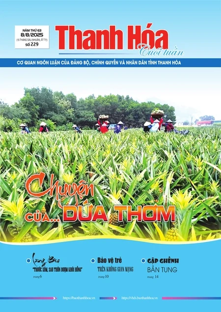 Số 229 - Thứ Sáu, ngày 08/08/2025