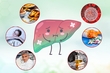 Tăng cường chức năng gan – Đừng lo, đã có ngay Bổ gan Tâm Bình