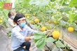 Biến bãi đổ rác thành nơi có thu nhập tiền tỷ mỗi năm