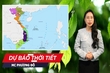 Dự báo thời tiết 24/1: Không khí lạnh từ phía Bắc đang di chuyển xuống phía Nam