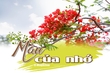 [E-magazin]: Màu của nhớ