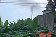 Sớm xác minh tình trạng ô nhiễm môi trường theo phản ánh của người dân xã Sao Vàng
