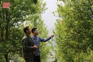 Kỳ vọng đổi thay nơi thượng nguồn sông Mã - Bài 2: Muốn thay đổi lớn phải bắt đầu từ hành động nhỏ