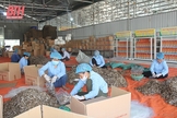 Thị xã Nghi Sơn chú trọng phát triển doanh nghiệp
