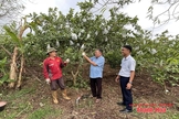 Phát huy vai trò của MTTQ trong xây dựng nông thôn mới