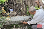 Niềm tự hào của làng Hồi Cù
