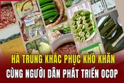 Hà Trung khắc phục khó khăn cùng người dân phát triển OCOP