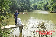 Thung lũng hồi sinh