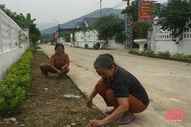 Lan tỏa phong trào xây dựng thôn, bản nông thôn mới kiểu mẫu ở Như Thanh