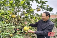 Bình yên Mông Ân